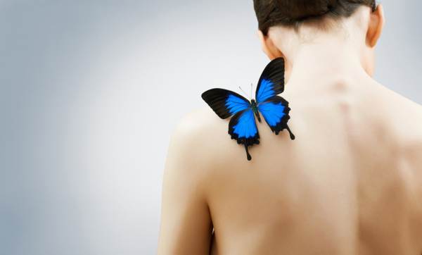 лептир је седео на рамену 