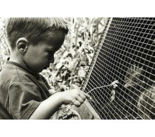 Милионер у 8