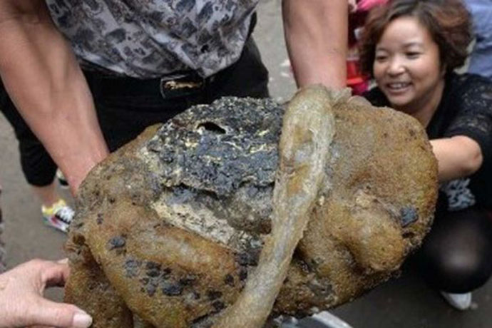 Неидентификовано створење ухваћено у Кини